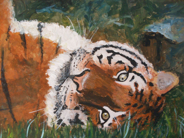 tigre