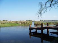 Vista de laguna iberá-