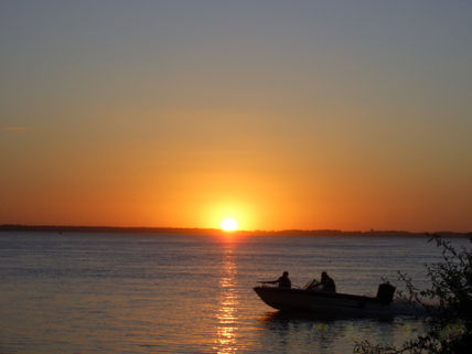 Cae la tarde