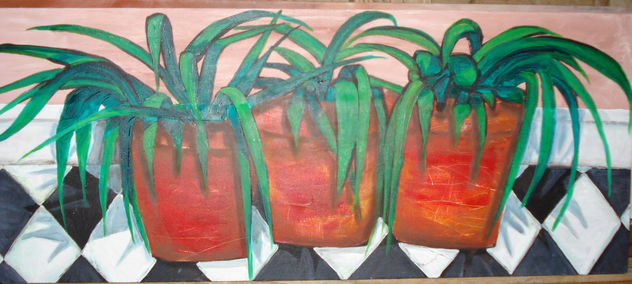 macetas