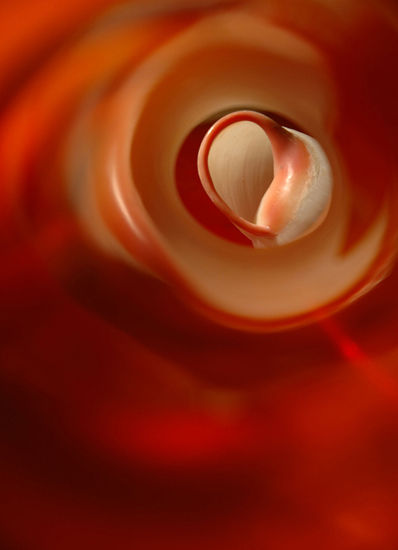 COSMOGONIAS