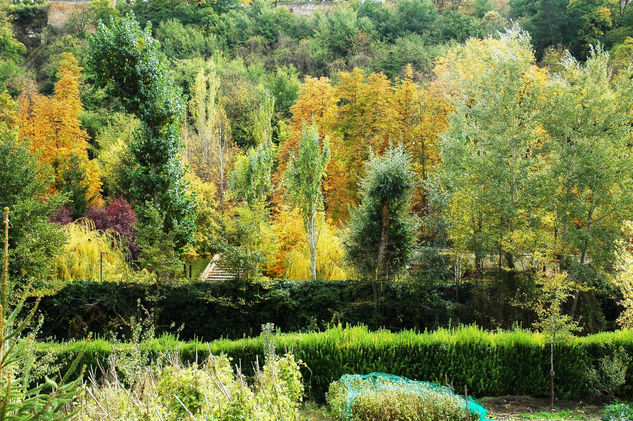 Jardines del Alcazar de Segovia 