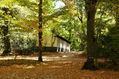 Jardines de La Granja 1