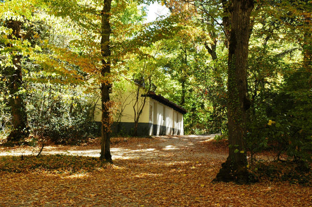 Jardines de La Granja 1