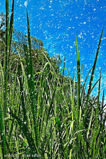 Azul y verde Arquitectura e interiorismo Blanco y Negro (Digital)