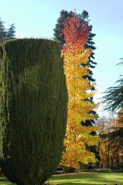 Jardines de La...