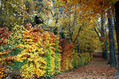 Jardines de La Granja 4
