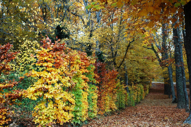 Jardines de La Granja 4