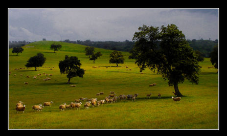 Paisajes
