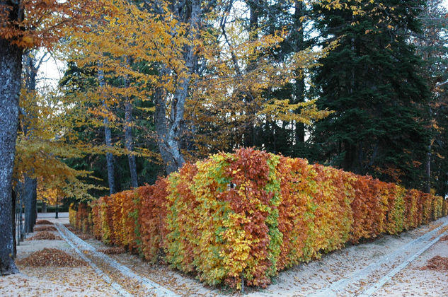 Jardines de La Granja 5 