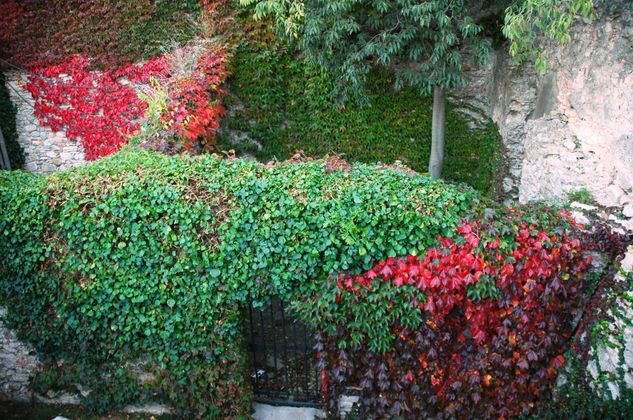 Muralla de Gerona 2 