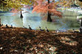 Parque del Retiro de Madrid 1