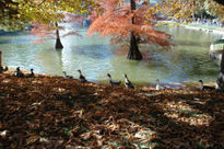 Parque del Retiro...