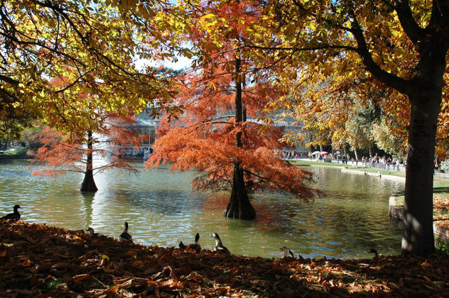 Parque del Retiro de Madrid 2