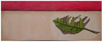 Naturaleza modida