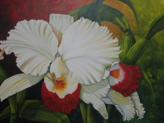 the colombian orchid