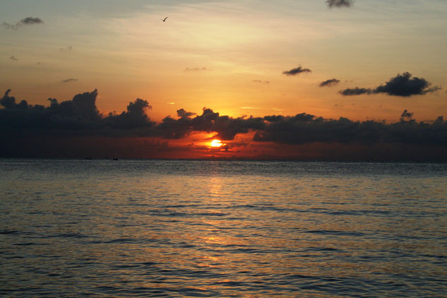 Atardecer en la playa 