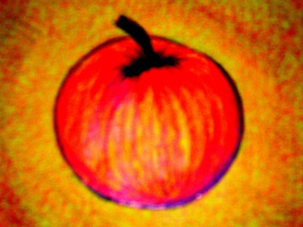 Manzana 2