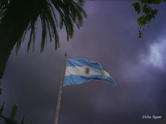 Nuestra Bandera Otras temáticas Color (Digital)