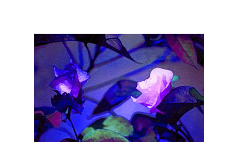 NETART/ARTE DIGITAL