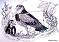 nido de aguilas