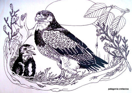 Nido de aguilas