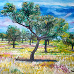 NATURALEZA thumbnail 2