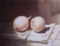 cebollas 1