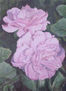 dos rosas