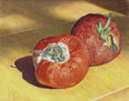 tomates 1