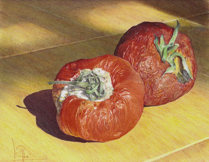 Tomates 1