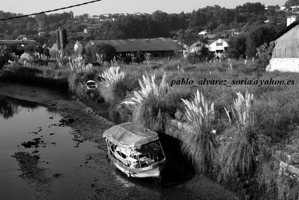 Paseo fluvial de...