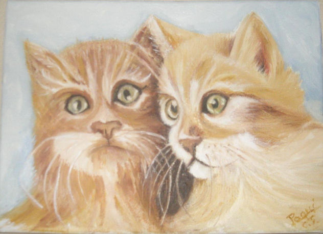 gatitos bonitos