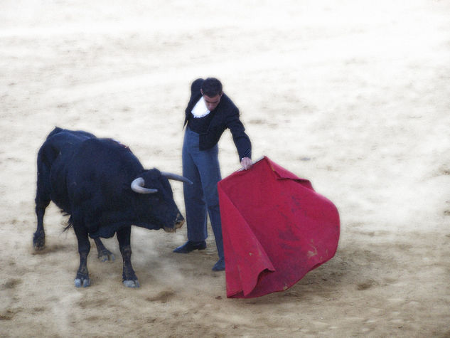 Tauromaquia 6 