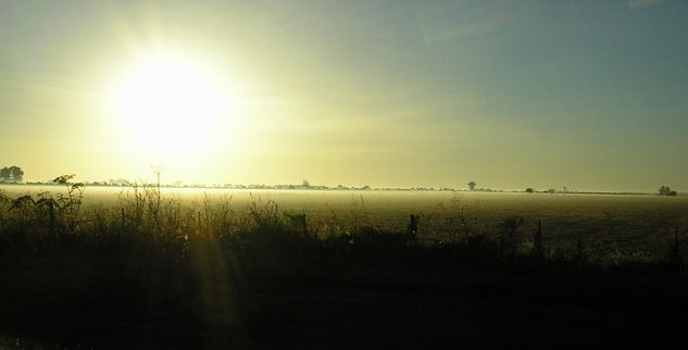 Niebla de Lehmann 