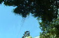 PAISAJE URBANO 1