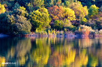 Reflejo de otoño