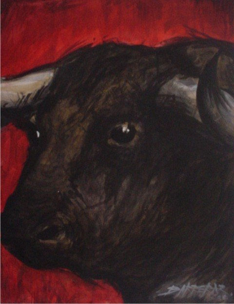 toro