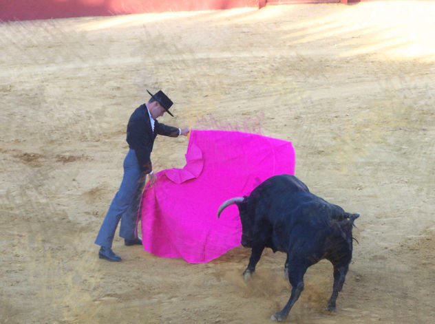 Tauromaquia 9