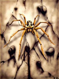 Araña