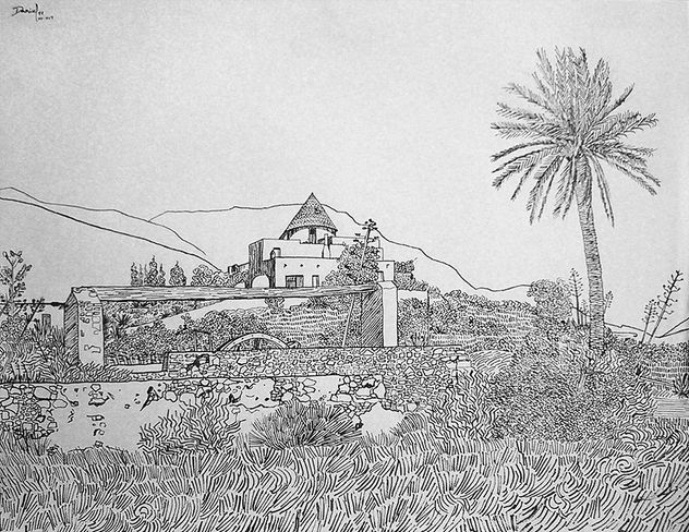 La noria del Cortijo Grande con palmera