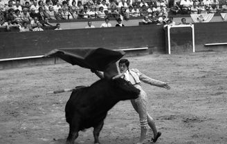 TOROS Fotoperiodismo y documental Blanco y Negro (Digital)