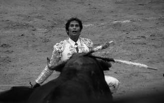 TOROS3 Fotoperiodismo y documental Blanco y Negro (Digital)