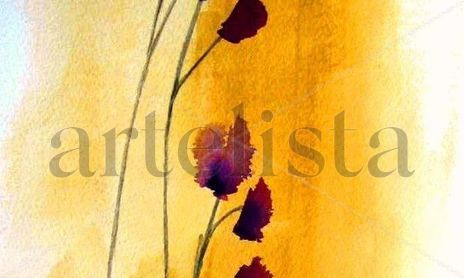 COLECCIÓN ZEN