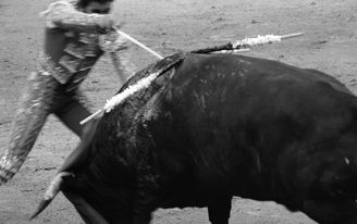 TOROS4 Architecture and Interiorism Black and White (Digital)