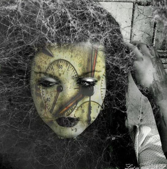 Spider Web Of The Place 