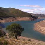 León thumbnail 1
