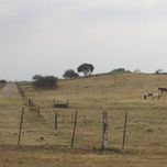 fotografias thumbnail 2