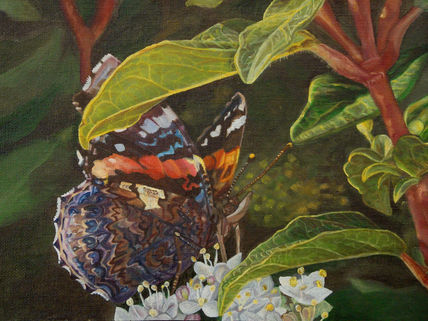 Mariposa