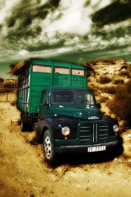 Tomato lorry